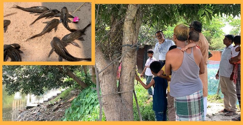 তিতাস রক্ষায় সাকার মাছ ধ্বংসের ডাক ব্রাহ্মণবাড়িয়ায় মৎস্য বিভাগের জরুরি অভিযান