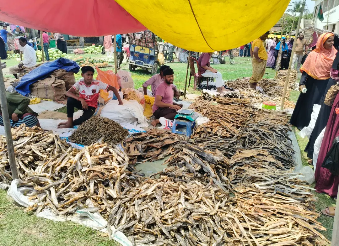 নাসিরনগরে দুই শত বছরের ঐতিহ্যবাহী শুটকি মেলা