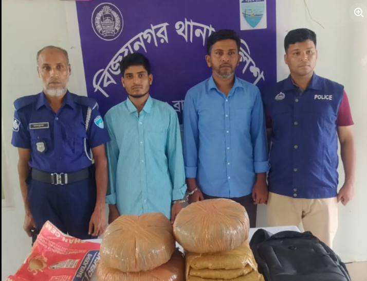 বিজয়নগরে ১০ কেজি গাঁজাসহ দুই মাদক কারবারি গ্রেফতার