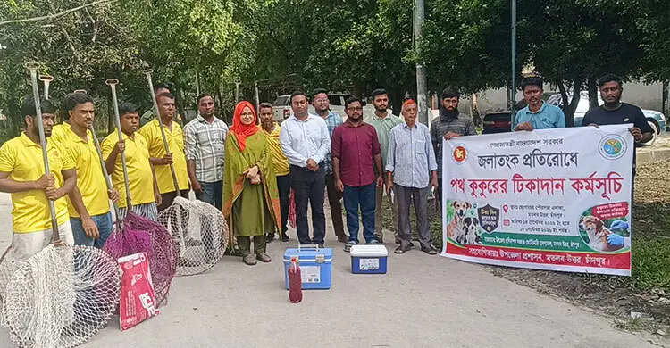 চাঁদপুরের মতলব উত্তরে ৩ শতাধিক পথকুকুরকে দেওয়া হচ্ছে জলাতঙ্ক টিকা