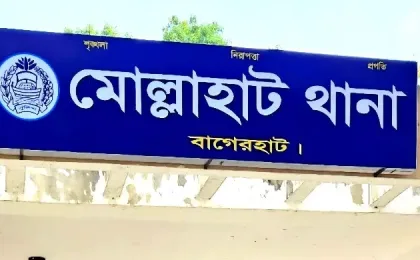 মোল্লাহাটে ঘেরে শাপলা তুলতে গিয়ে ডুবে মারা গেল দুই চাচাতো বোন