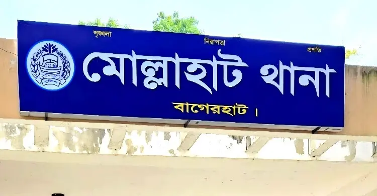 মোল্লাহাটে ঘেরে শাপলা তুলতে গিয়ে ডুবে মারা গেল দুই চাচাতো বোন
